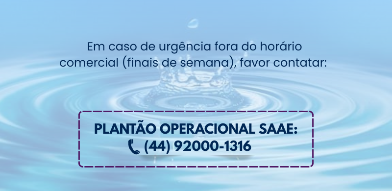 plantão